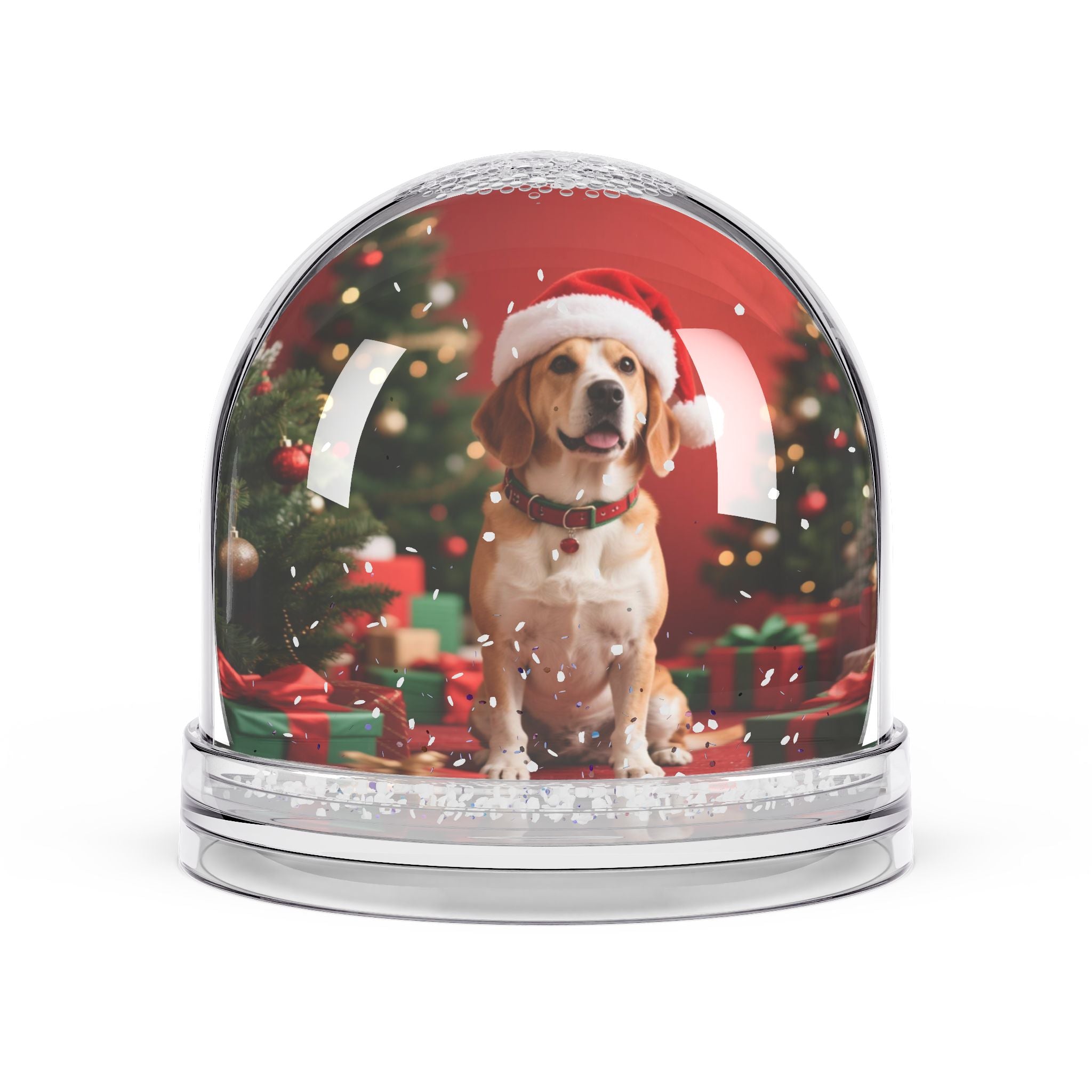 Snow Globe