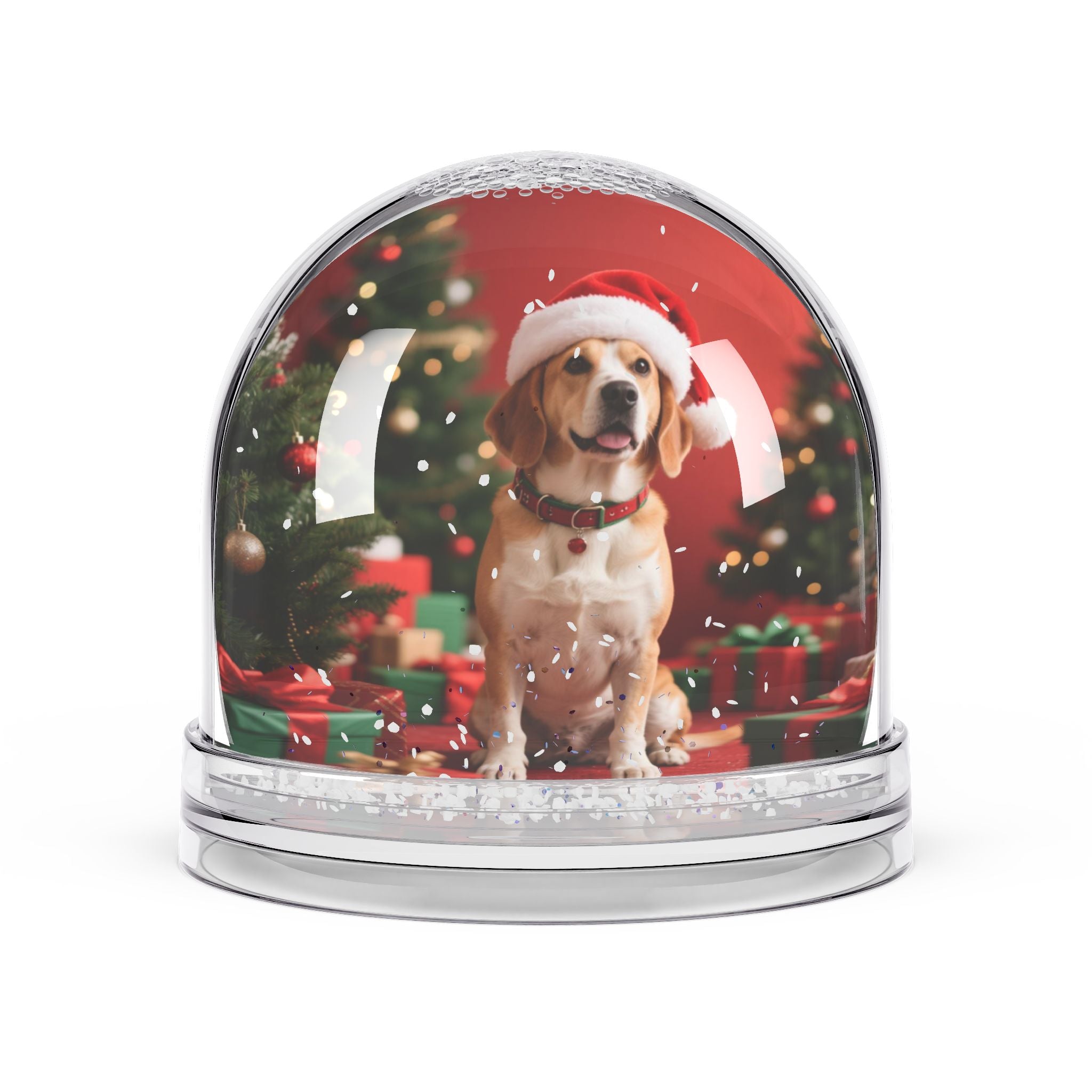 Snow Globe
