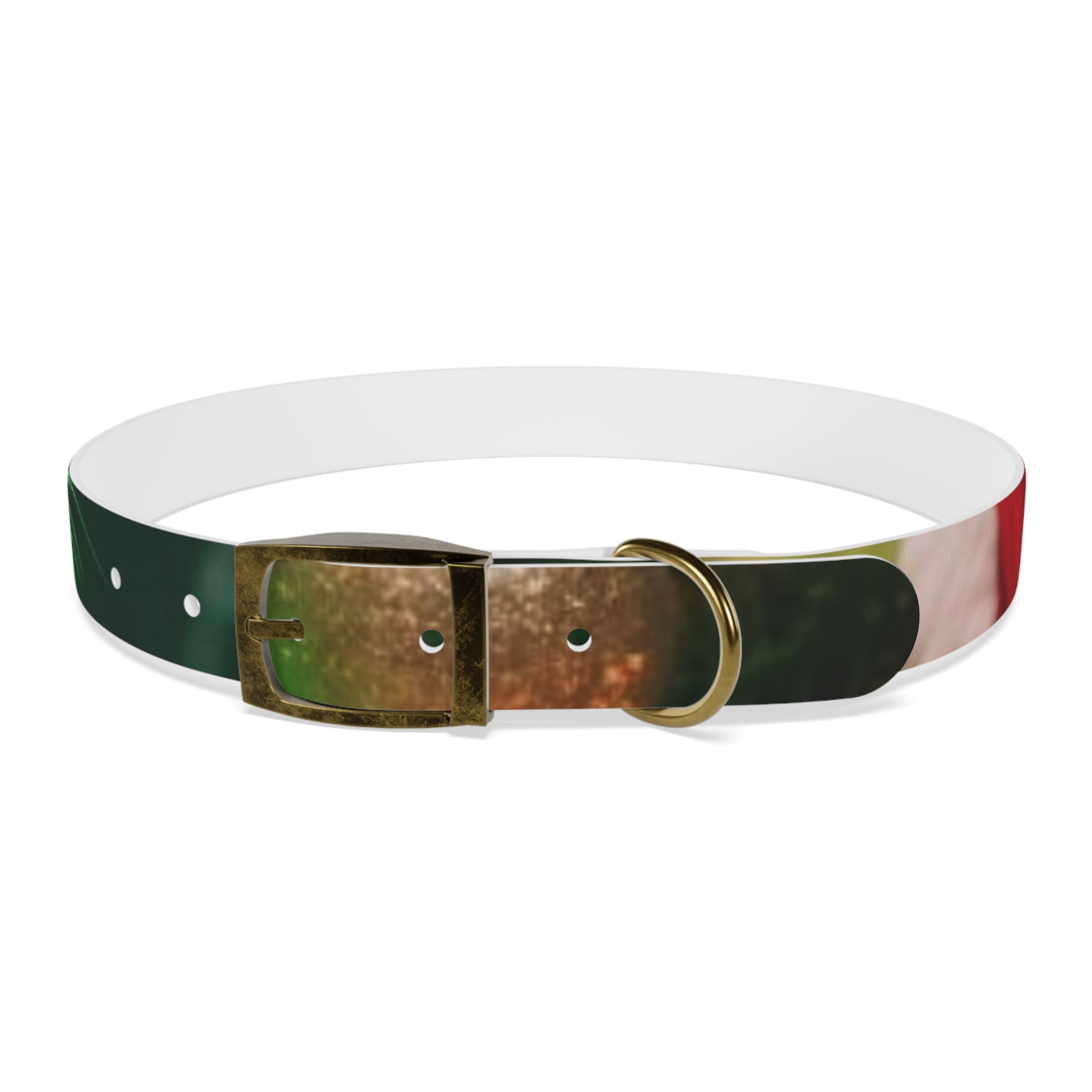 Stylish Dog Collar - Adjustable Pet Accessory for Everyday Wear, Pet Fashion, Dog Lover Gift, Personalized Dog Collars, Holiday Gifts