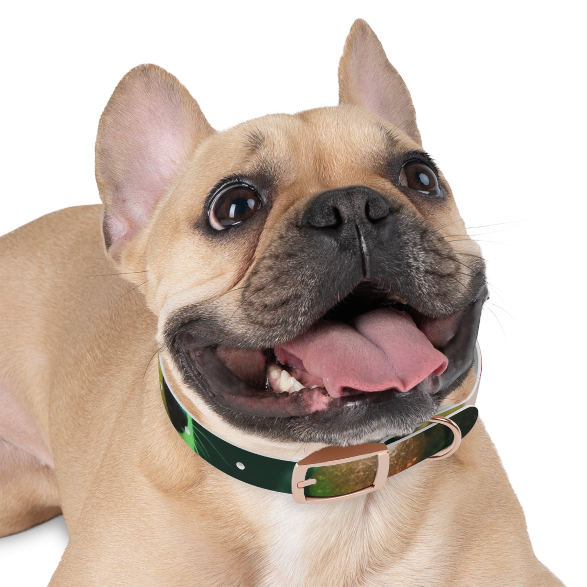 Stylish Dog Collar - Adjustable Pet Accessory for Everyday Wear, Pet Fashion, Dog Lover Gift, Personalized Dog Collars, Holiday Gifts