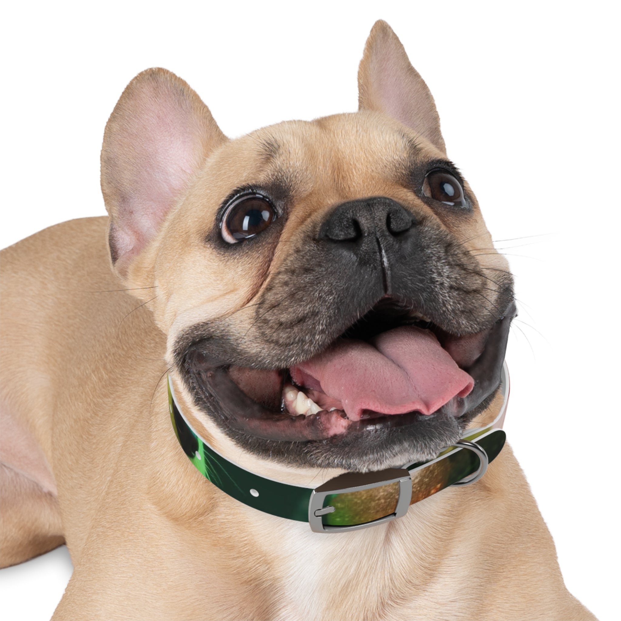 Stylish Dog Collar - Adjustable Pet Accessory for Everyday Wear, Pet Fashion, Dog Lover Gift, Personalized Dog Collars, Holiday Gifts