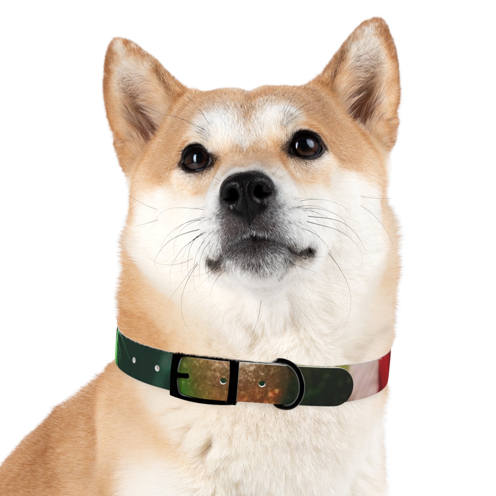 Stylish Dog Collar - Adjustable Pet Accessory for Everyday Wear, Pet Fashion, Dog Lover Gift, Personalized Dog Collars, Holiday Gifts