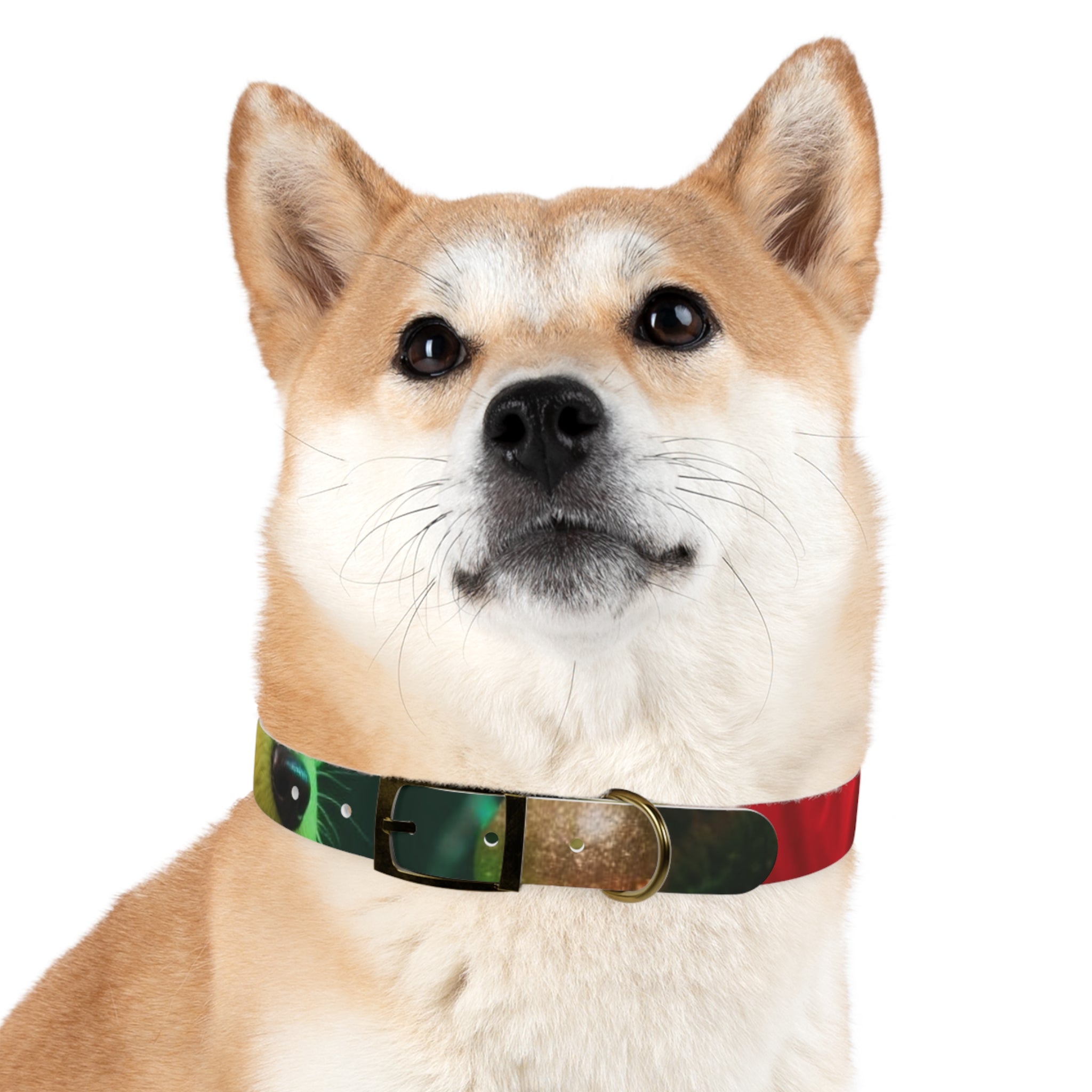 Stylish Dog Collar - Adjustable Pet Accessory for Everyday Wear, Pet Fashion, Dog Lover Gift, Personalized Dog Collars, Holiday Gifts