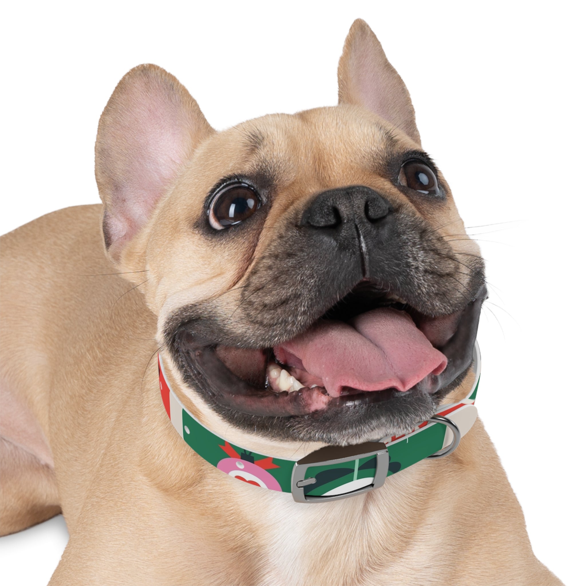 Stylish Dog Collar - Adjustable Pet Accessory for Everyday Wear, Pet Fashion, Dog Lover Gift, Personalized Dog Collars, Holiday Gifts
