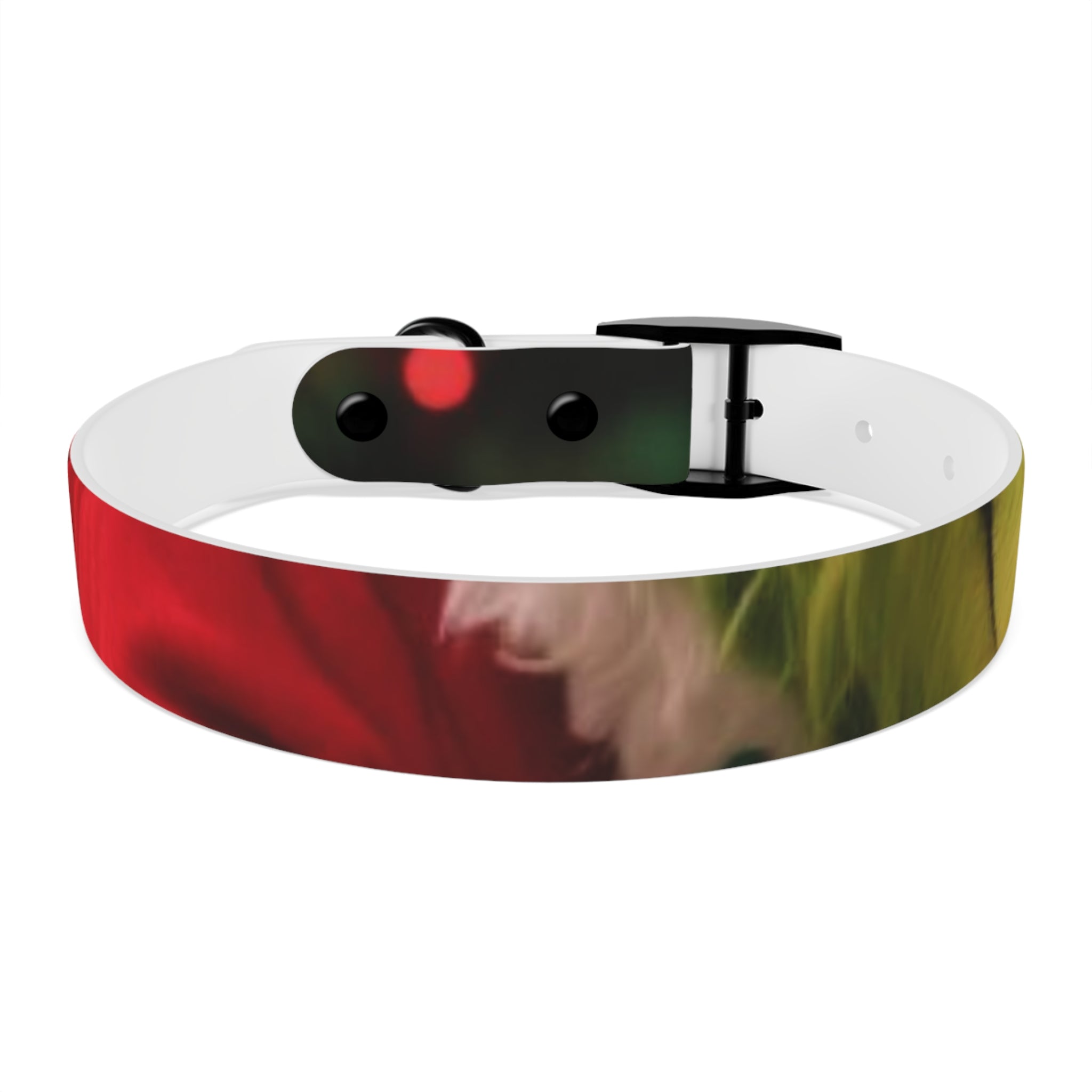 Stylish Dog Collar - Adjustable Pet Accessory for Everyday Wear, Pet Fashion, Dog Lover Gift, Personalized Dog Collars, Holiday Gifts