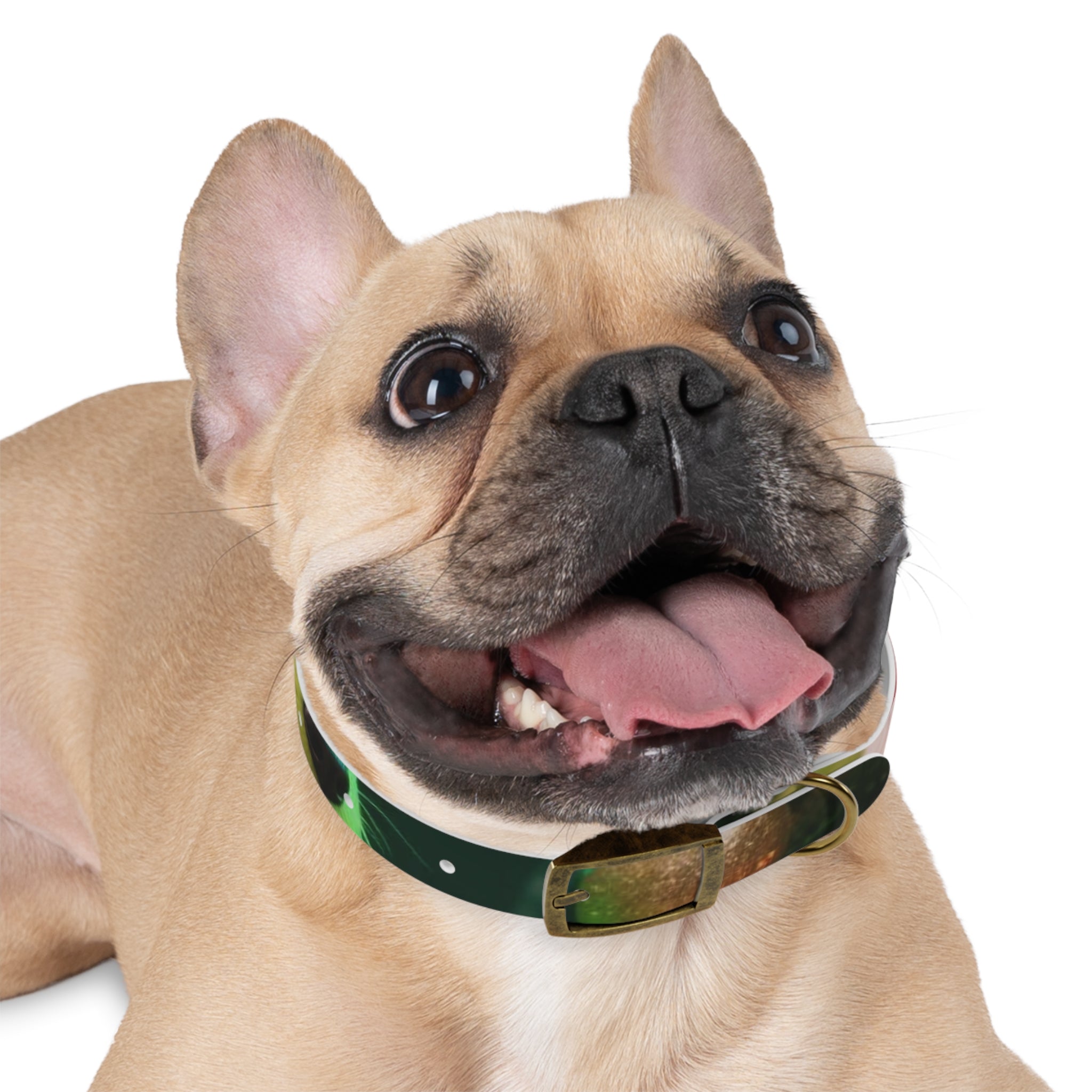 Stylish Dog Collar - Adjustable Pet Accessory for Everyday Wear, Pet Fashion, Dog Lover Gift, Personalized Dog Collars, Holiday Gifts