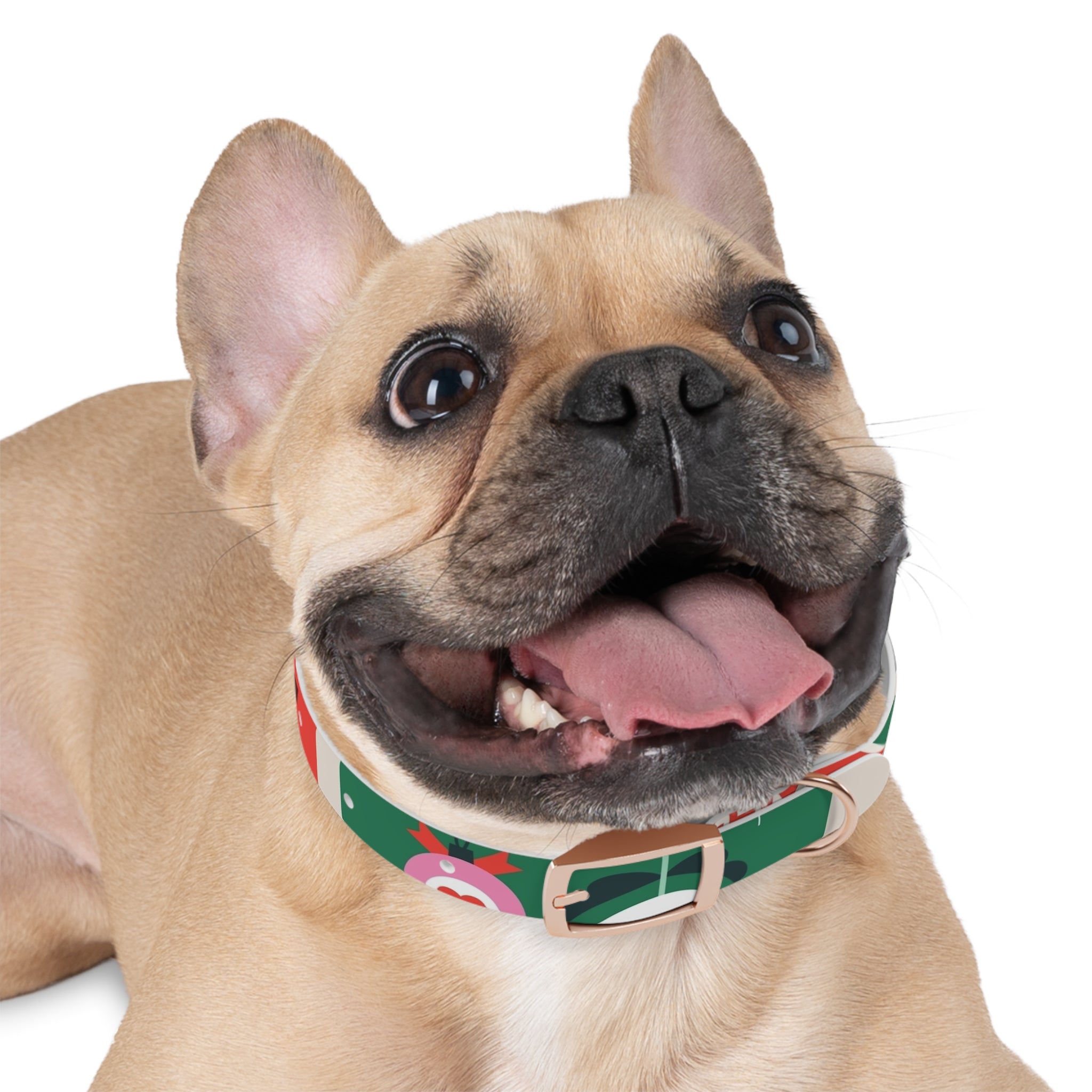 Stylish Dog Collar - Adjustable Pet Accessory for Everyday Wear, Pet Fashion, Dog Lover Gift, Personalized Dog Collars, Holiday Gifts