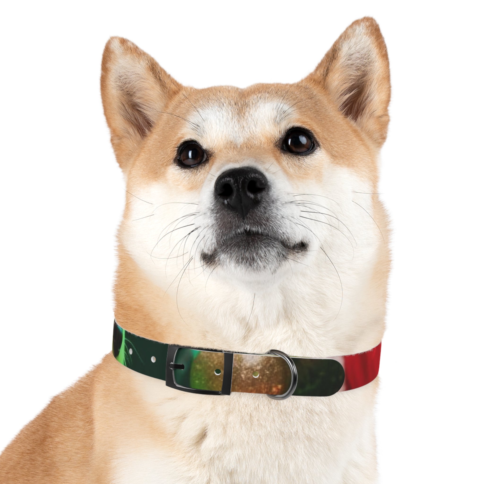 Stylish Dog Collar - Adjustable Pet Accessory for Everyday Wear, Pet Fashion, Dog Lover Gift, Personalized Dog Collars, Holiday Gifts