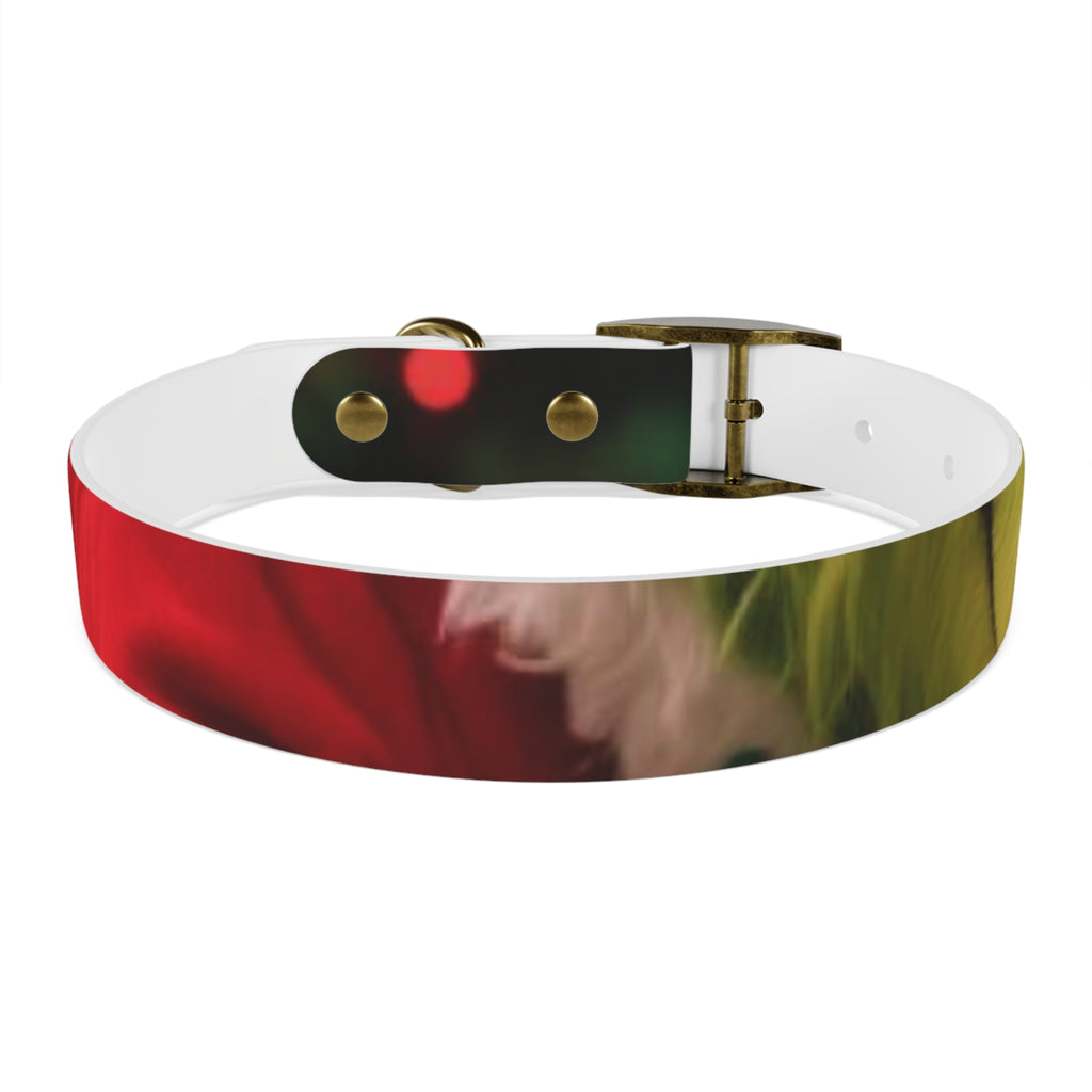 Stylish Dog Collar - Adjustable Pet Accessory for Everyday Wear, Pet Fashion, Dog Lover Gift, Personalized Dog Collars, Holiday Gifts