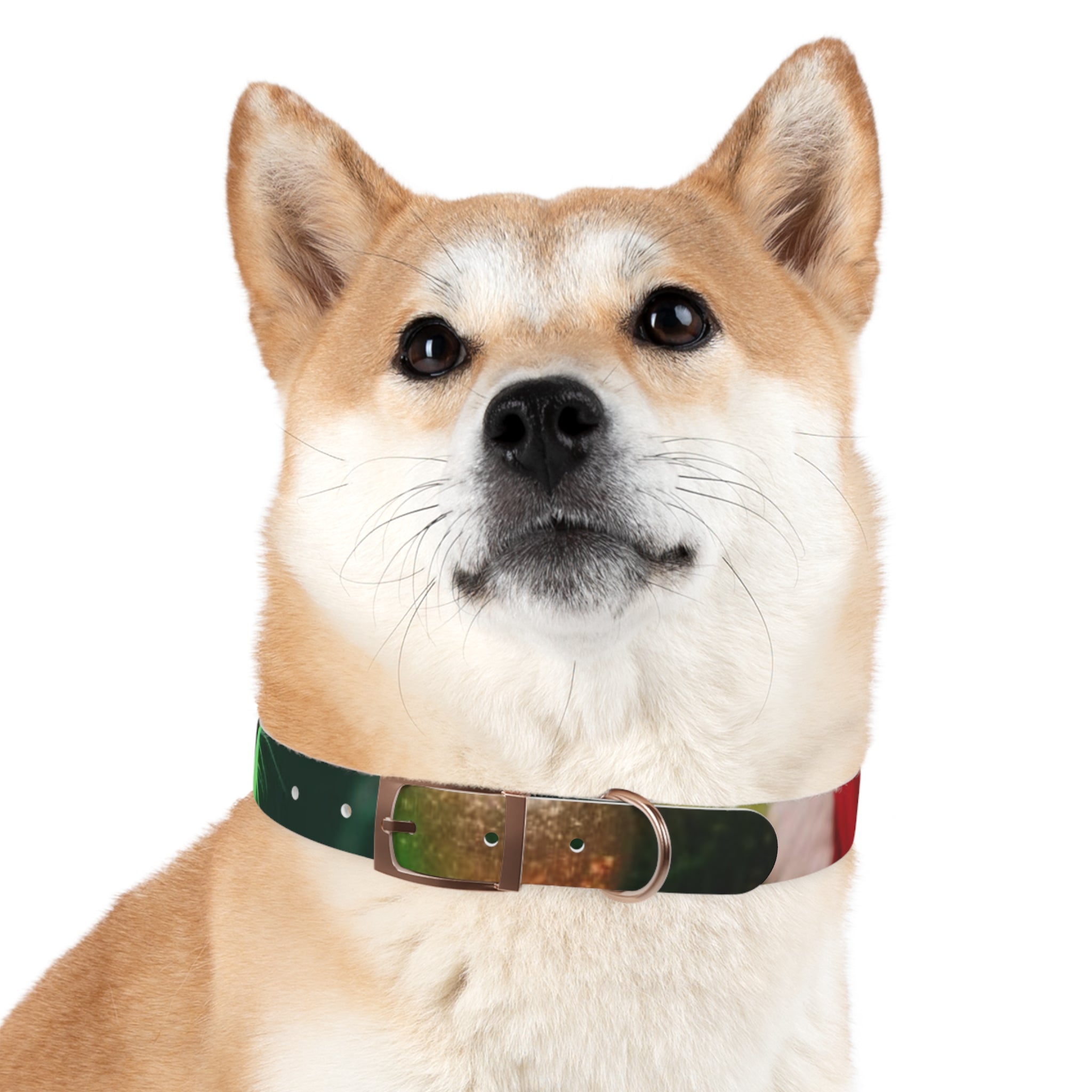 Stylish Dog Collar - Adjustable Pet Accessory for Everyday Wear, Pet Fashion, Dog Lover Gift, Personalized Dog Collars, Holiday Gifts