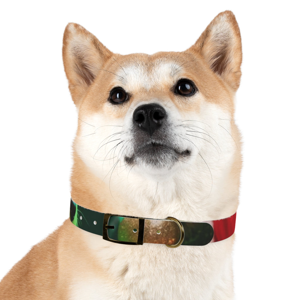 Stylish Dog Collar - Adjustable Pet Accessory for Everyday Wear, Pet Fashion, Dog Lover Gift, Personalized Dog Collars, Holiday Gifts