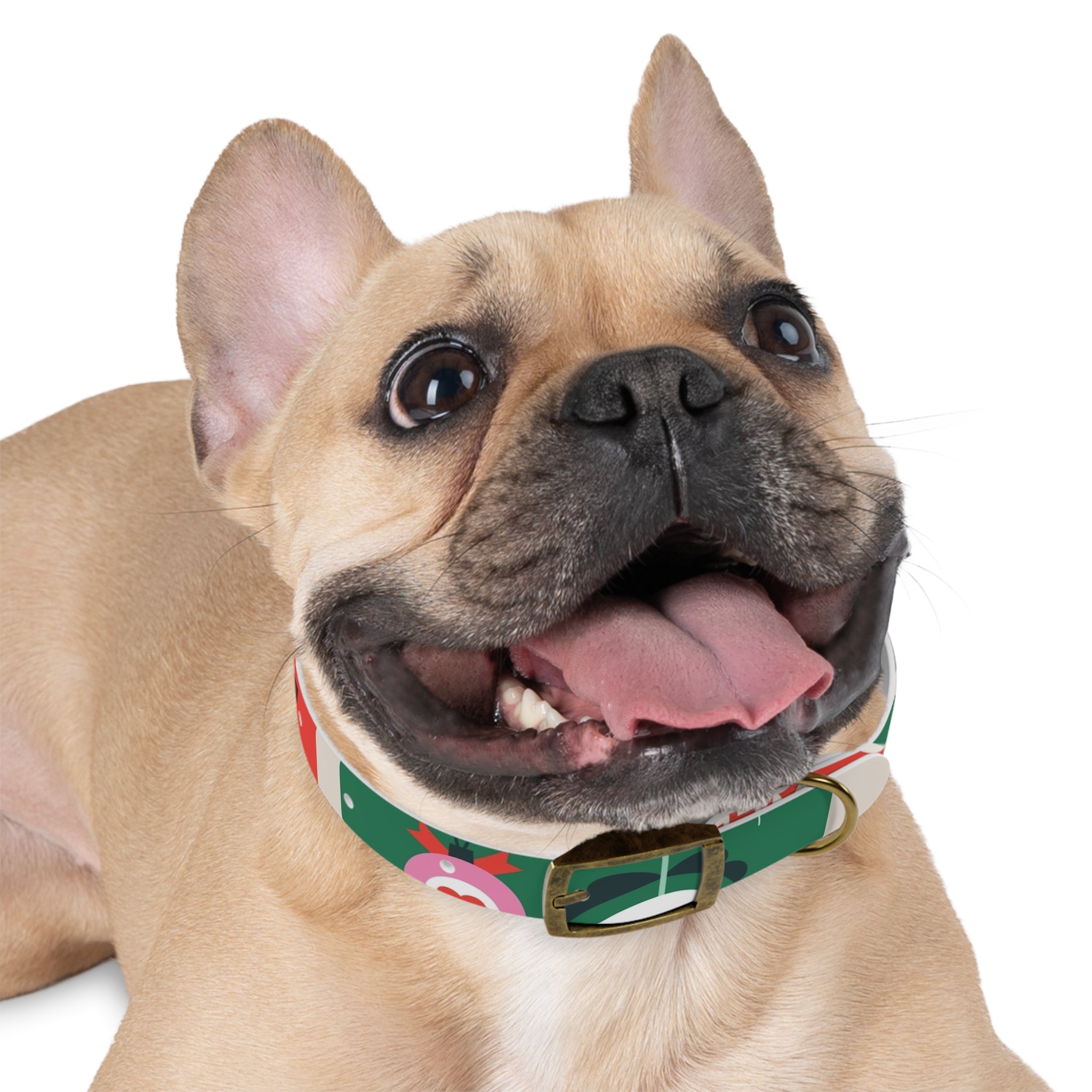 Stylish Dog Collar - Adjustable Pet Accessory for Everyday Wear, Pet Fashion, Dog Lover Gift, Personalized Dog Collars, Holiday Gifts
