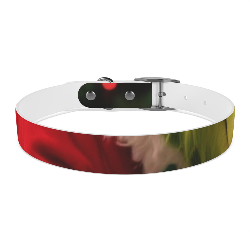 Stylish Dog Collar - Adjustable Pet Accessory for Everyday Wear, Pet Fashion, Dog Lover Gift, Personalized Dog Collars, Holiday Gifts