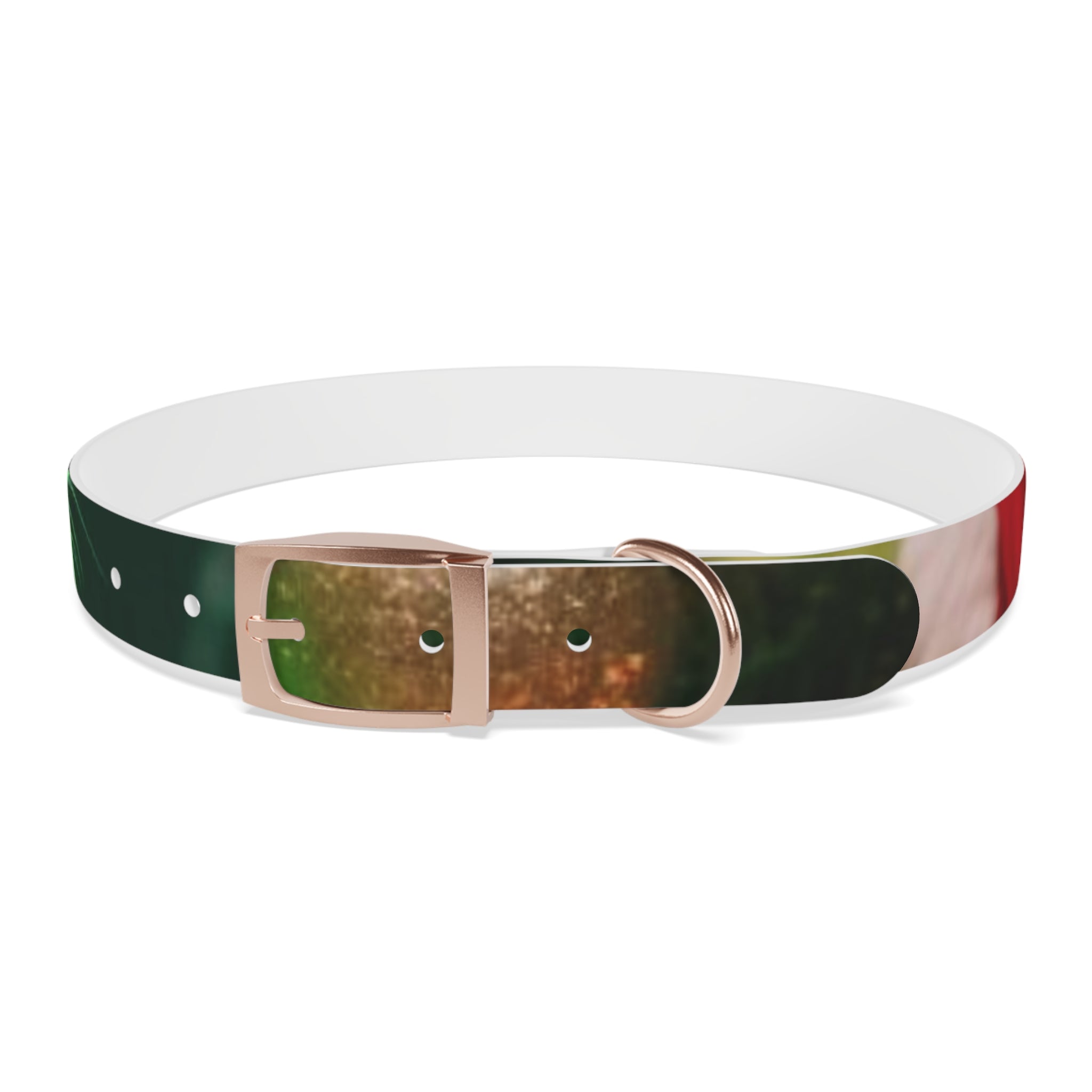 Stylish Dog Collar - Adjustable Pet Accessory for Everyday Wear, Pet Fashion, Dog Lover Gift, Personalized Dog Collars, Holiday Gifts