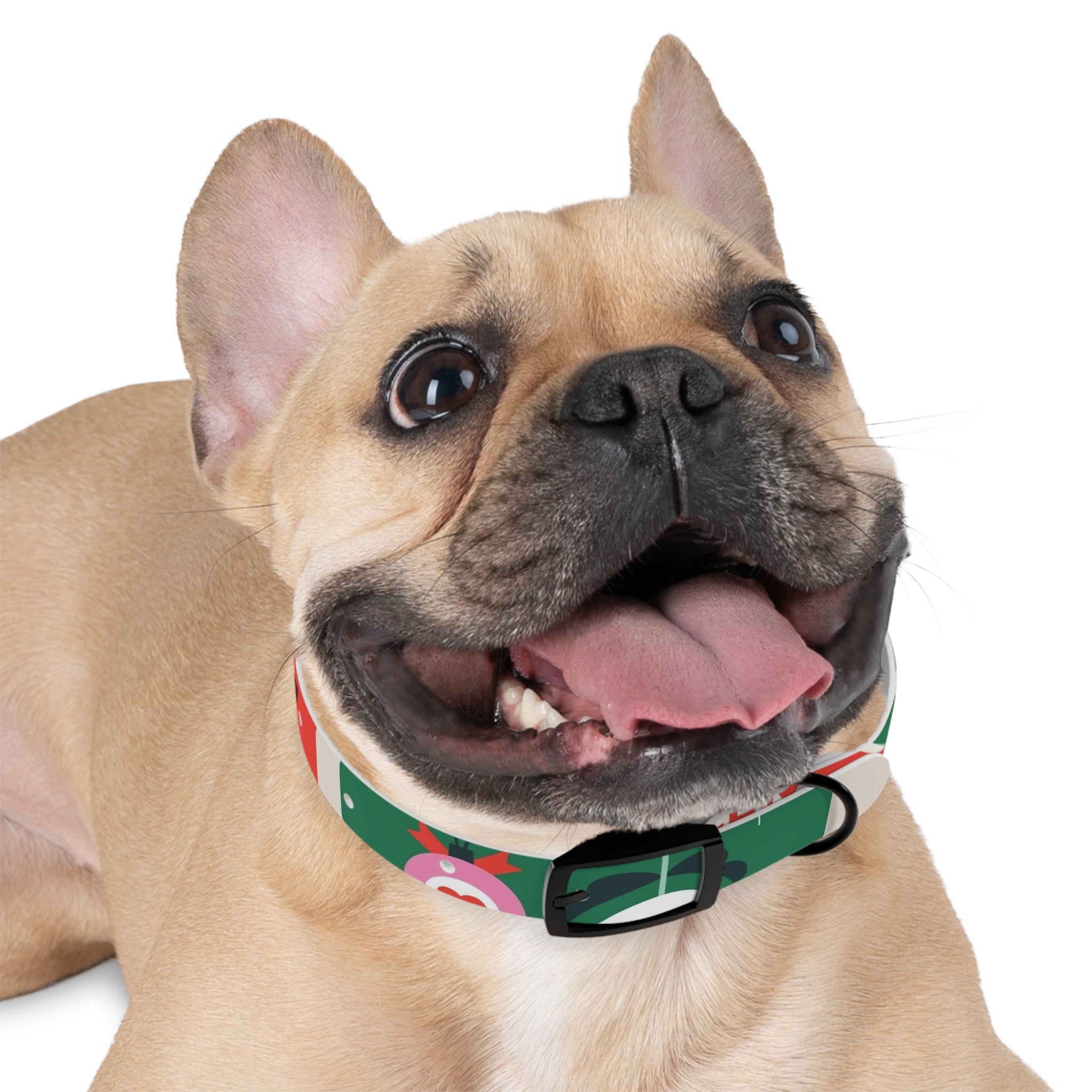 Stylish Dog Collar - Adjustable Pet Accessory for Everyday Wear, Pet Fashion, Dog Lover Gift, Personalized Dog Collars, Holiday Gifts