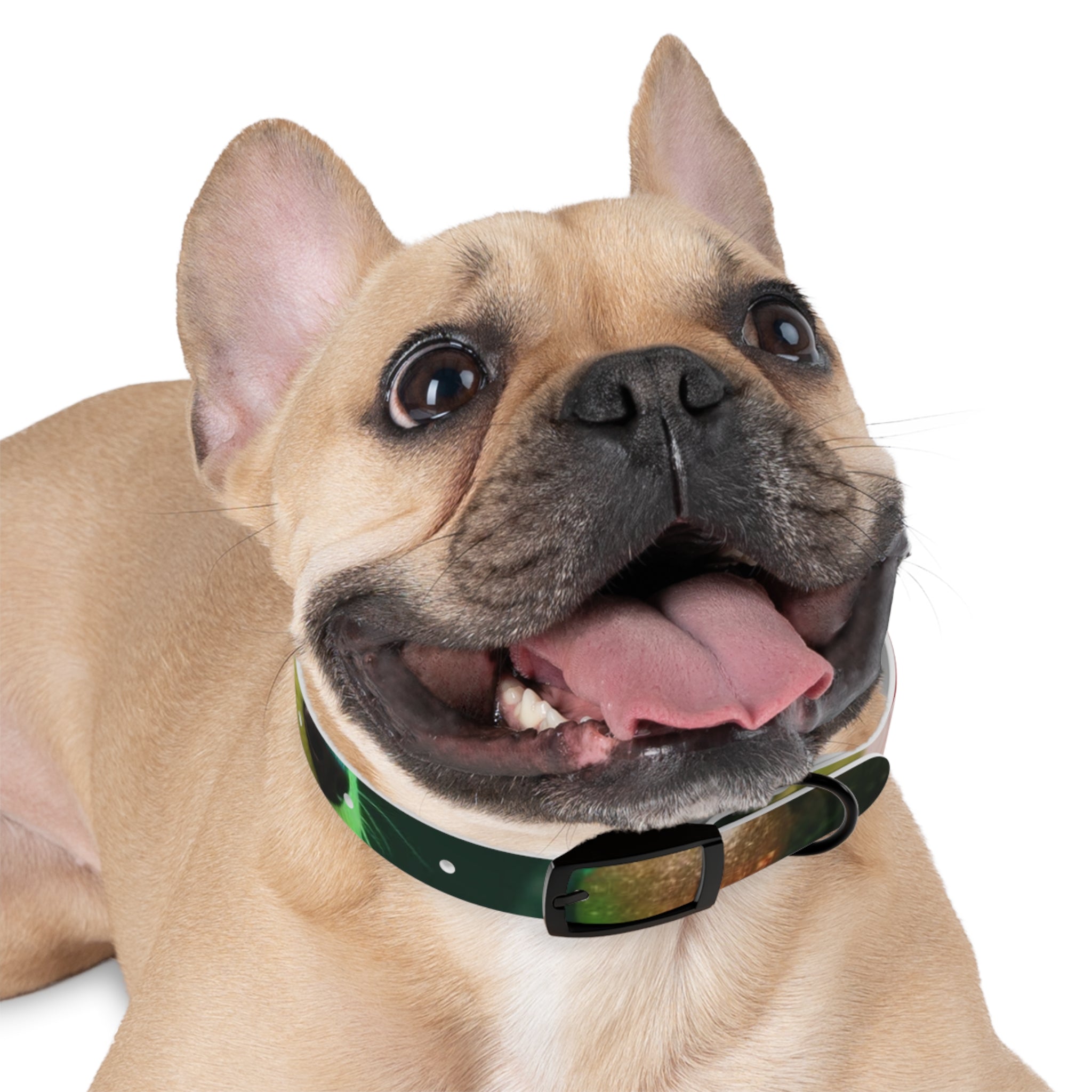 Stylish Dog Collar - Adjustable Pet Accessory for Everyday Wear, Pet Fashion, Dog Lover Gift, Personalized Dog Collars, Holiday Gifts