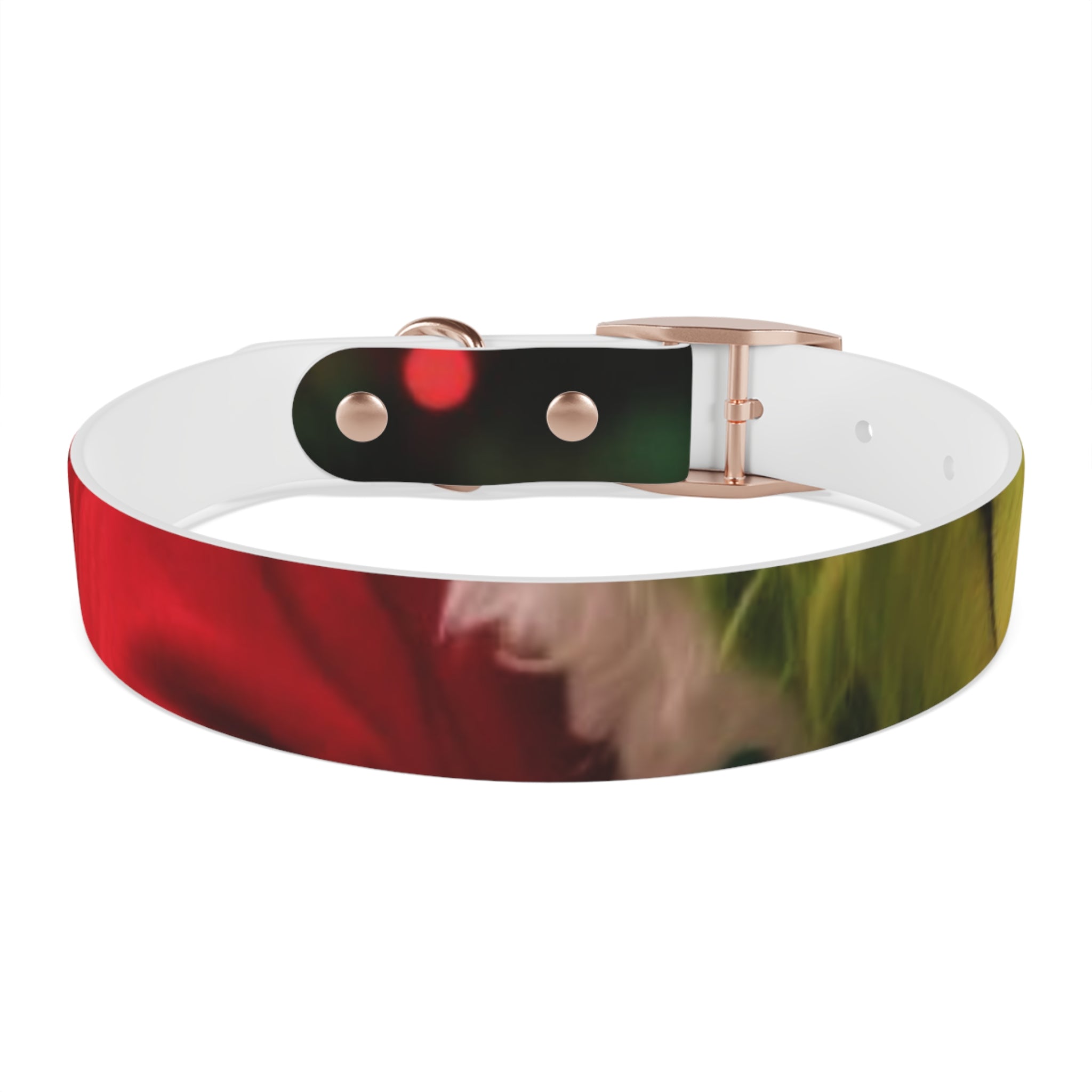 Stylish Dog Collar - Adjustable Pet Accessory for Everyday Wear, Pet Fashion, Dog Lover Gift, Personalized Dog Collars, Holiday Gifts